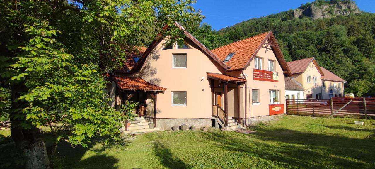Olt-Part Vendeghaz Hotell BaileTusnad Exteriör bild