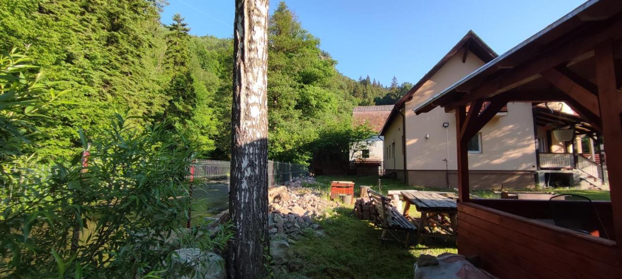 Olt-Part Vendeghaz Hotell BaileTusnad Exteriör bild