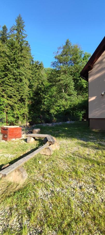 Olt-Part Vendeghaz Hotell BaileTusnad Exteriör bild