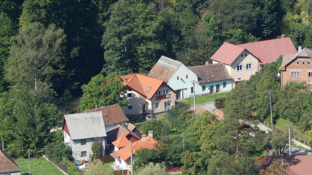 Olt-Part Vendeghaz Hotell BaileTusnad Exteriör bild